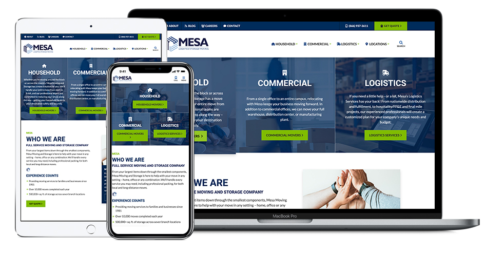 Mesa Website Design