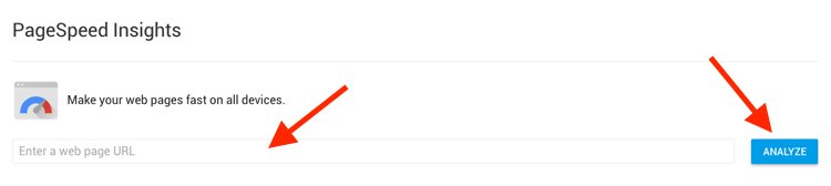 Google PageSpeed Insights Search Bar